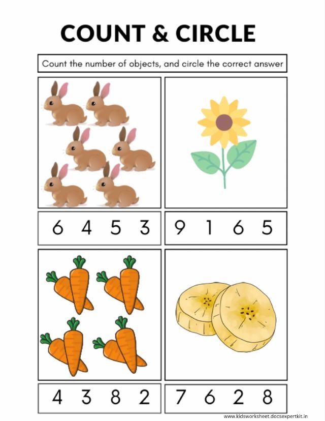 Count & Circle worksheet 3